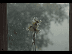 이천이십삼년 구월 이십팔일 목요일: 날씨 모름