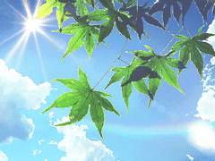 [블루록 상황문답] 여름이었다