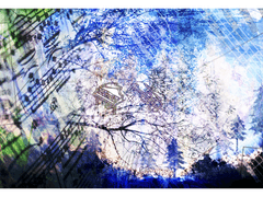 [청명윤종] Allegro ma poco a poco _ (4) 冬