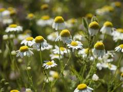흔적을 묵히기만 하는 것은 아무런 의미가 없다