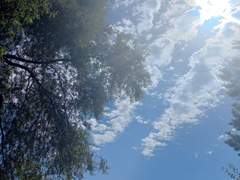 와 하늘 개이쁨;;