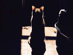 선택은 힘을 가진 자와 가지지 못한 자 사이에서 만들어진 허상이다.