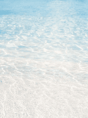 마샬 D 티치가 되어버렸습니다.