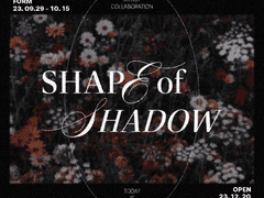 [합작 모집] Shape of Shadow