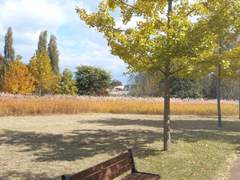 (4)슬럼프가 온 래빈에 당황하지 않을 멤버 없다.