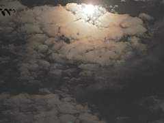 당장외출하세요