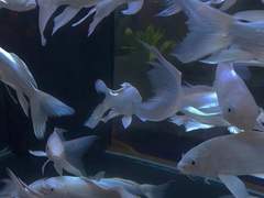 하늘은 파랗지 않대요