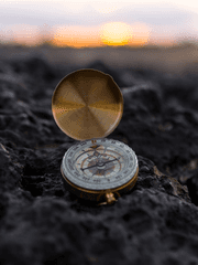 Estefania V Constell