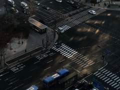 센티넬가이드 1