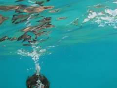 연극이 끝난 후에