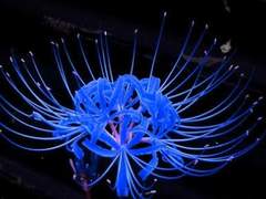 약해 보일 때만 네가 내 것 같아