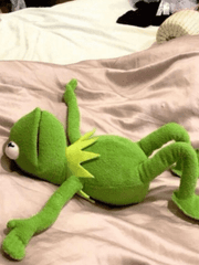 이런 ㅂㅅ같은 하숙생놈들