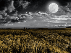 <기억의 조각을 모으는 마법사 : 赤> 0.