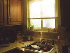 귀신아니거든? 완전요정이거든?