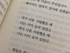 사랑이 무어라고.