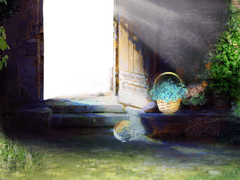 속하고 싶었던 자의 세계