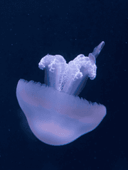 소방서 옆 경찰서 그리고 국과수