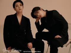 세븐틴 히어로즈