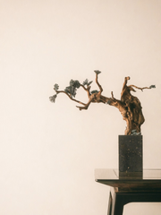 청연請緣: 인연을 청하다