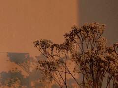 가을의 쓸쓸함에 대하여.