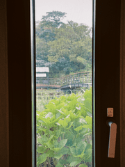 우리는 여전히 우리이고