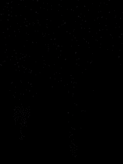 세션카드º로고 샘플