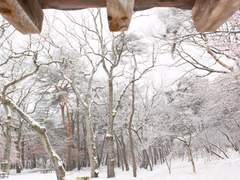 [곤 투모로우] 하사품