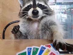 하이큐 수인 고등학교 08