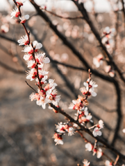 [화산귀환] 그 스승에 그 제자