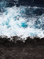 물에 젖은 라일락의 향기