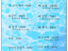 셀리네 솜병원 운영 안내 공지