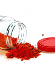 뱀파이어 시라부 선생