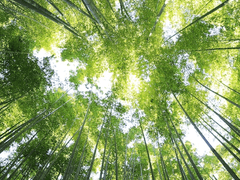 화산귀환 드림 3화