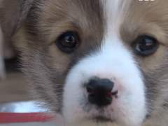 안녕하세요~~~!! 저 누구냐구요???