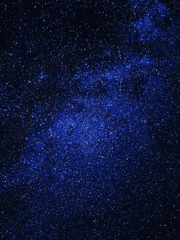 글 감상주접분석 커미션