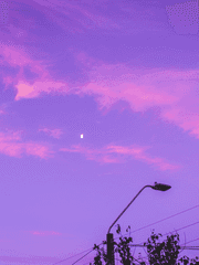 사랑이라는 이름으로