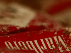 Men Always Remember Love Because Of Romantic Occasion: Red (1)