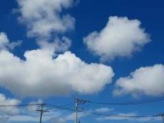 너와 함께 했기에