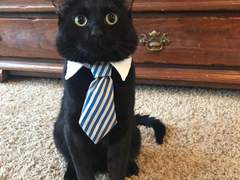 영구결번의 숙명 1편