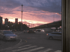 고죠에게 오해받은 킹국인 드림주