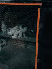 그 남자의 망상