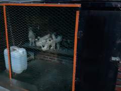 아주 이상한 이야기 1