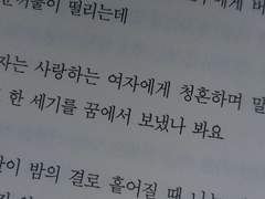한 세기를 꿈에서 보냈나 봐