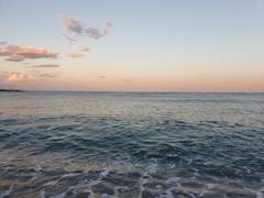 독일쥐의 50문 50답