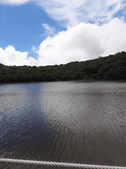 이게...이게 대체 무슨 소리여?