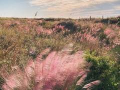 세연다온 [구세연 Episode.2]