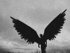 [후기] 추락하는 것에는 날개가 있다