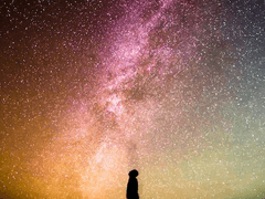 5화: 구세주(Savior)