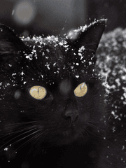 [GL] 지나간 여름을 안타까워 마