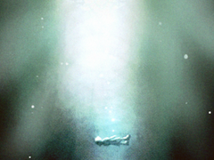 육아의 목적은 독립, 완결 !